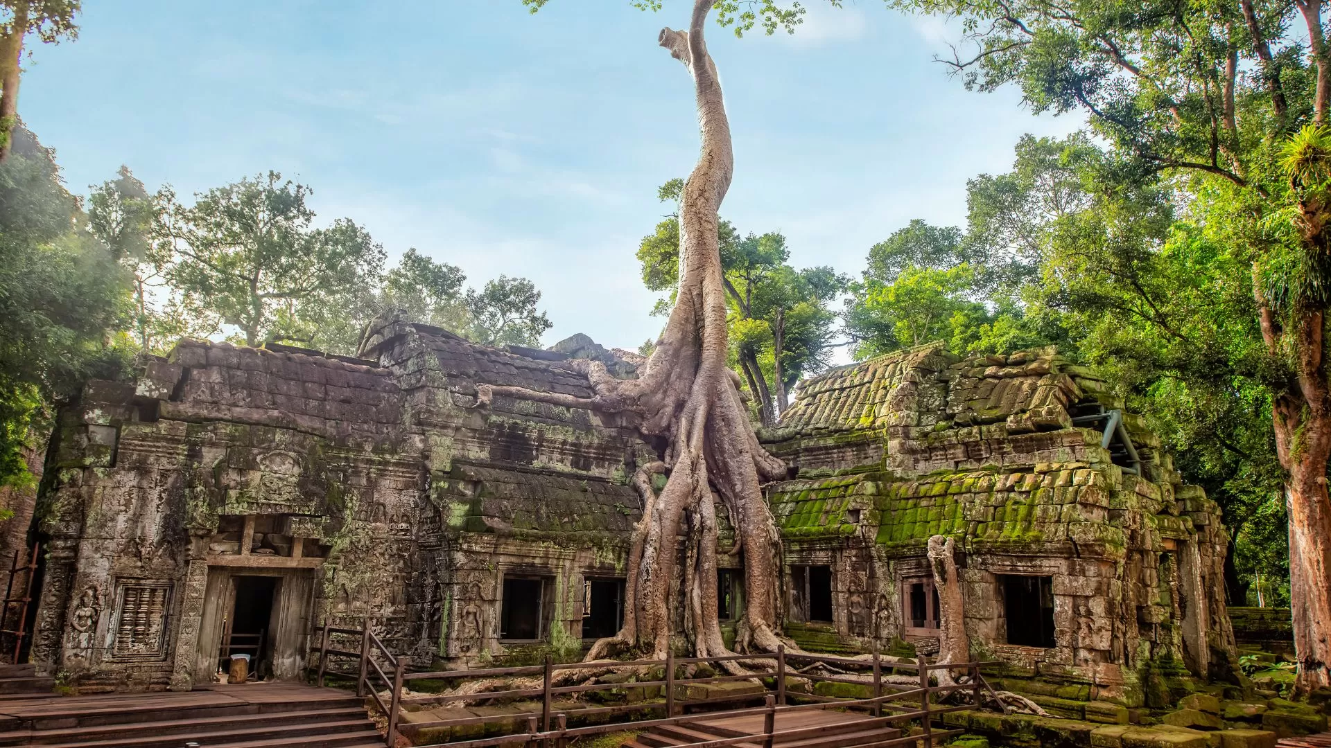 Ta Prohm