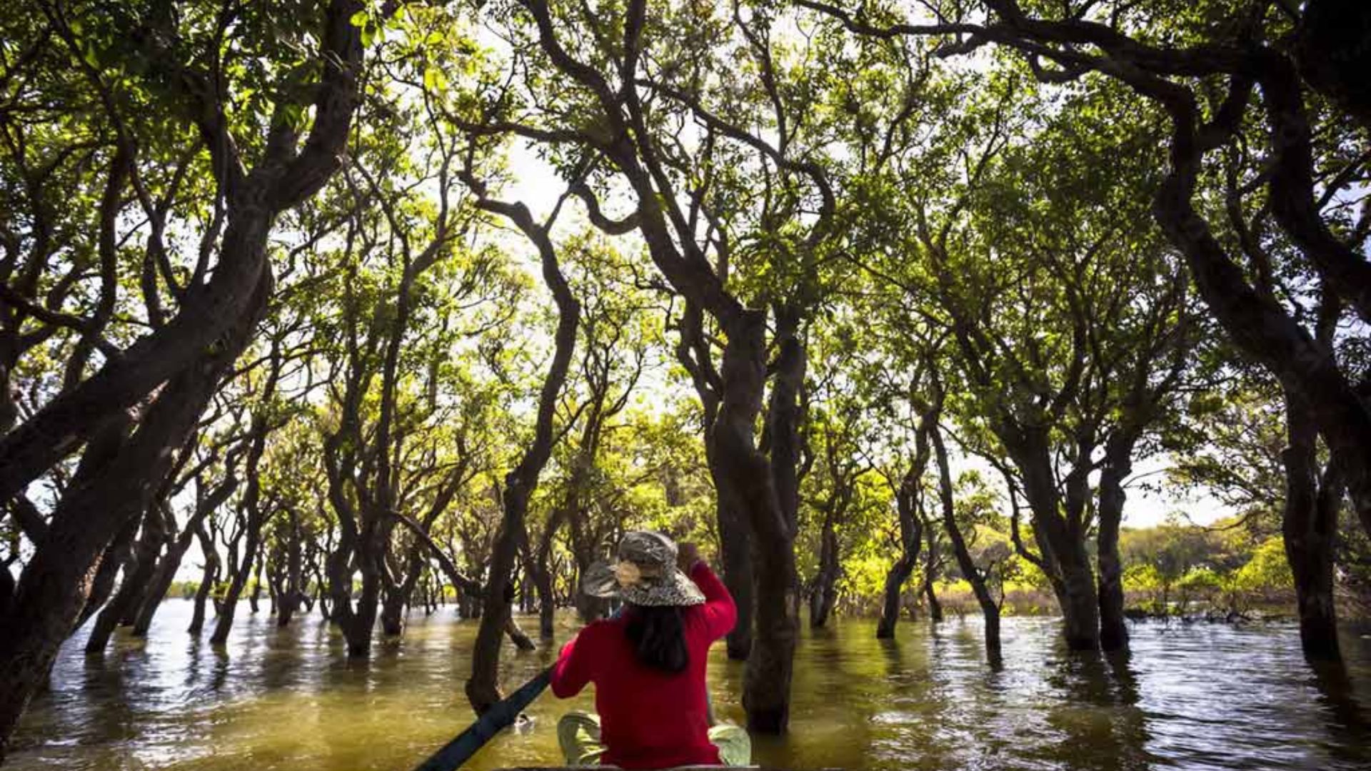 Que faire au lac Tonle Sap