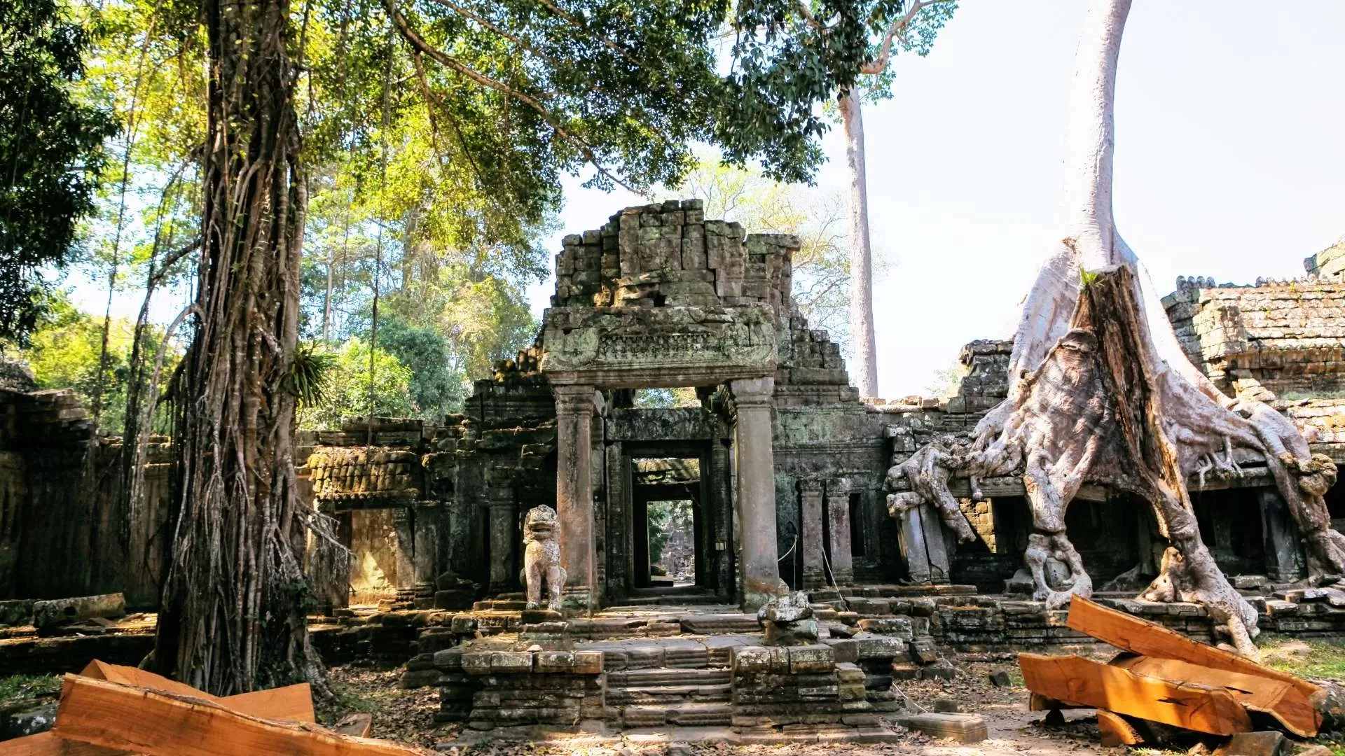 Prasat Ta Prohm