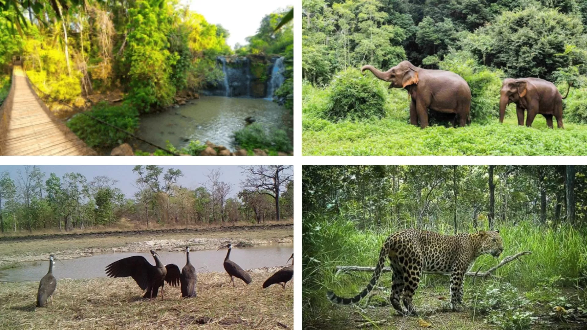 Lumphat wildlife sanctuary