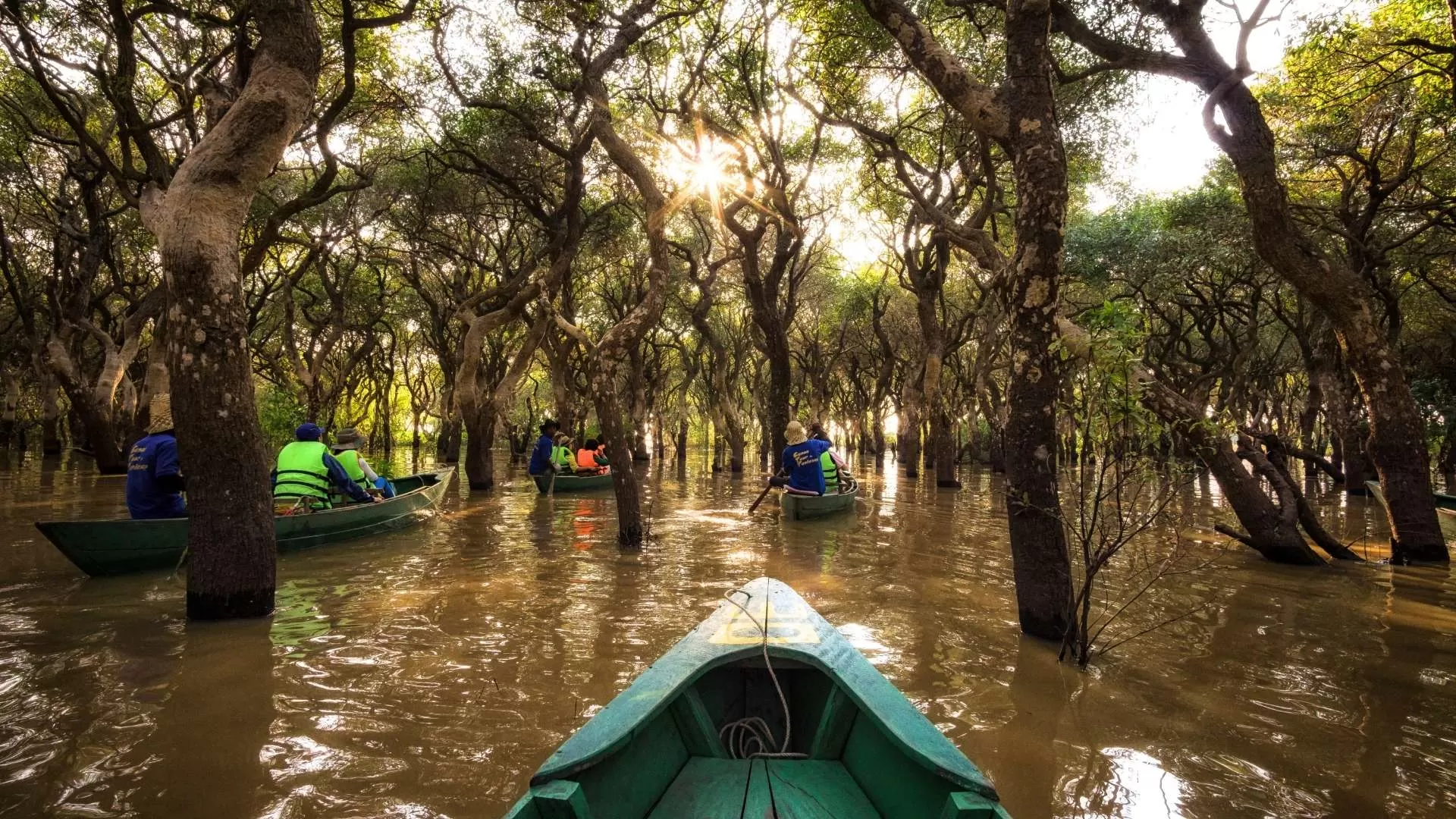 Flooded forests in Tonle Sap