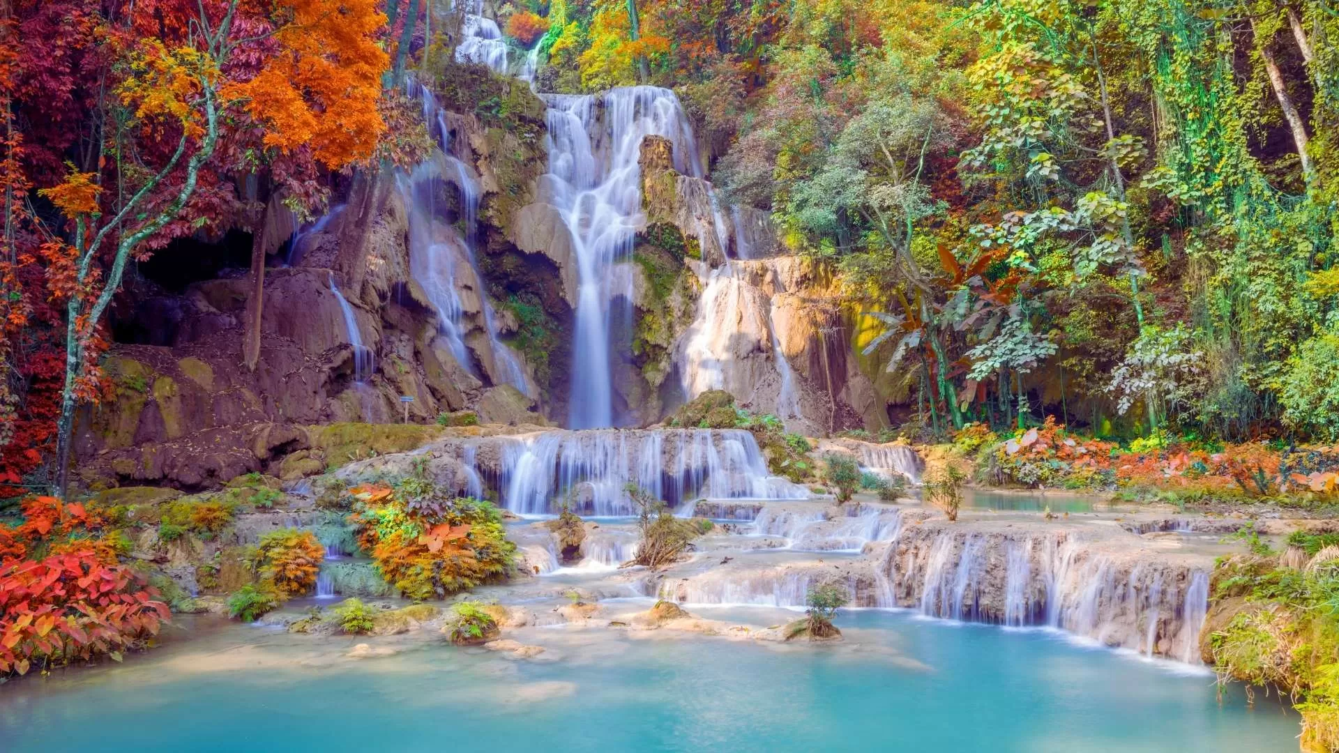 L’exploration de la beauté naturelle des chutes de Kuang Si