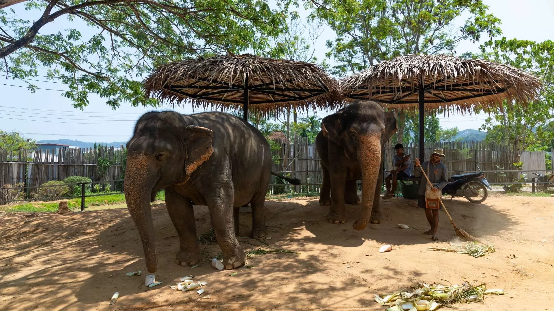 Phuket Elephant Sanctuary