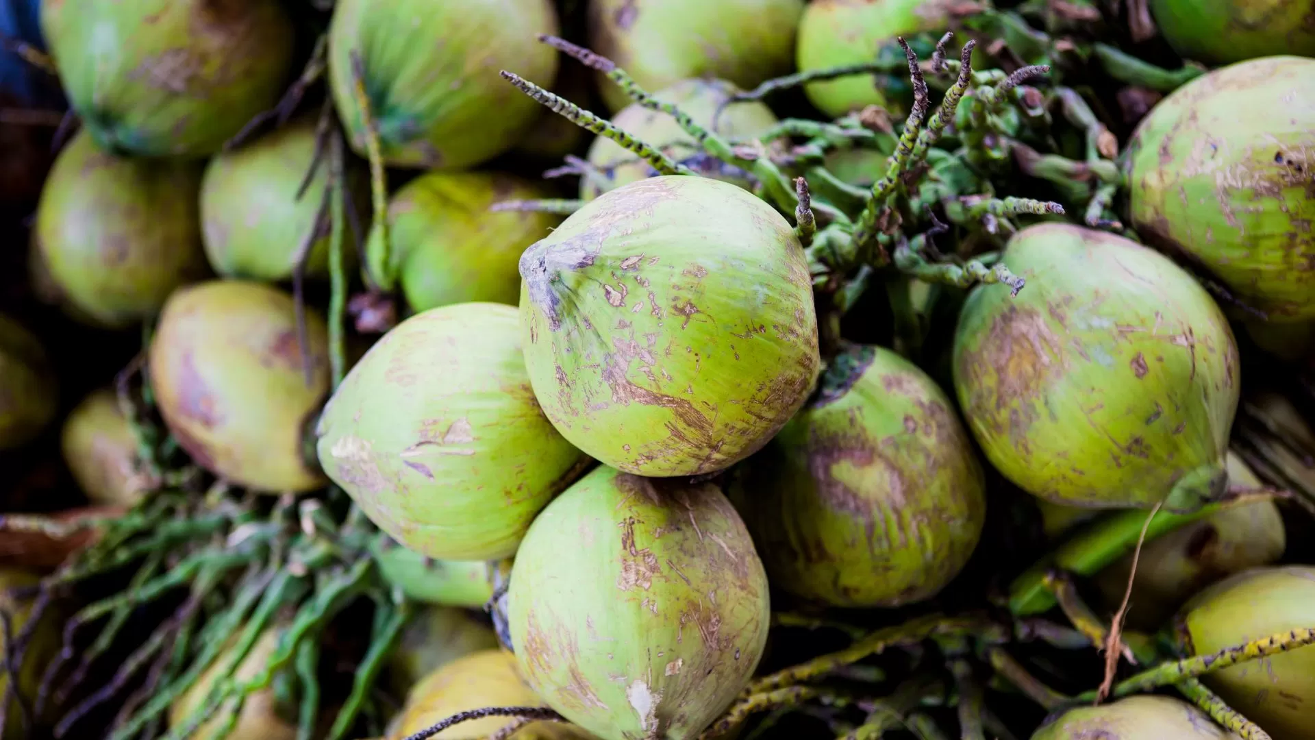 Spécialité de Ben Tre