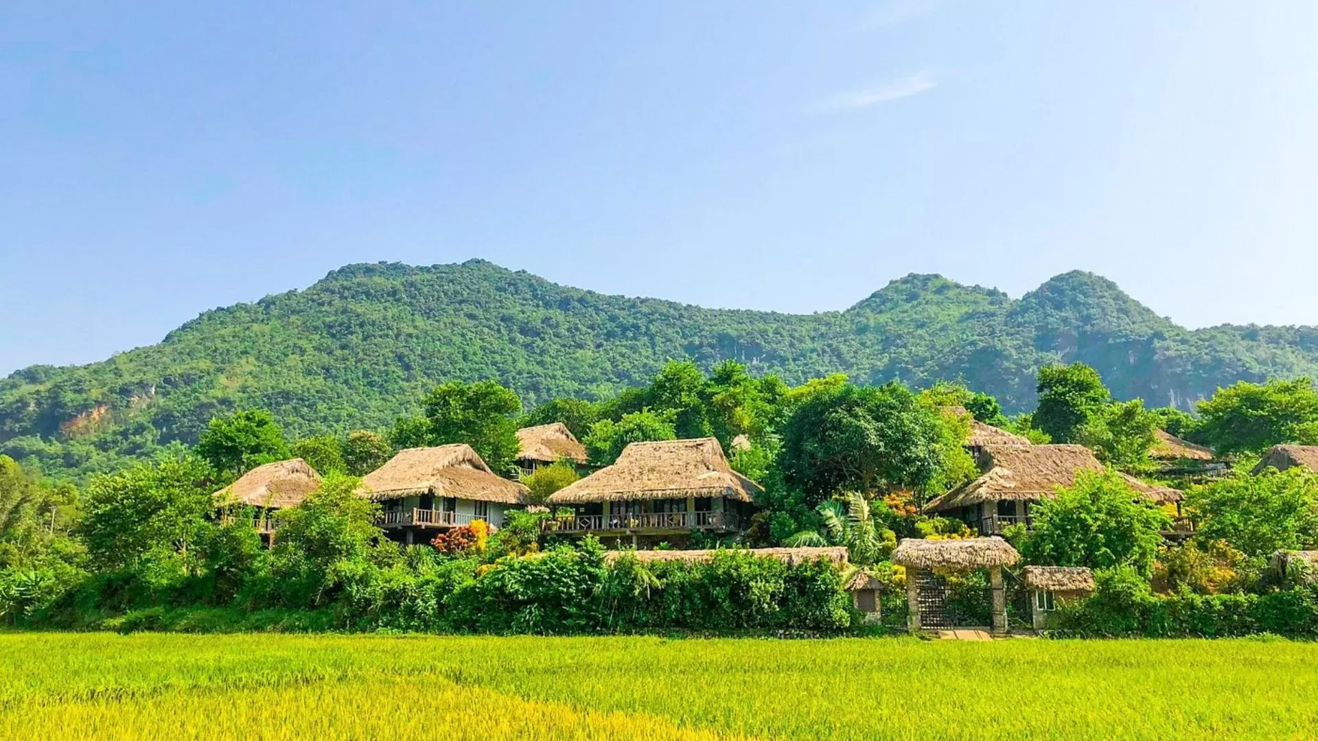 Mai Chau Ecolodge