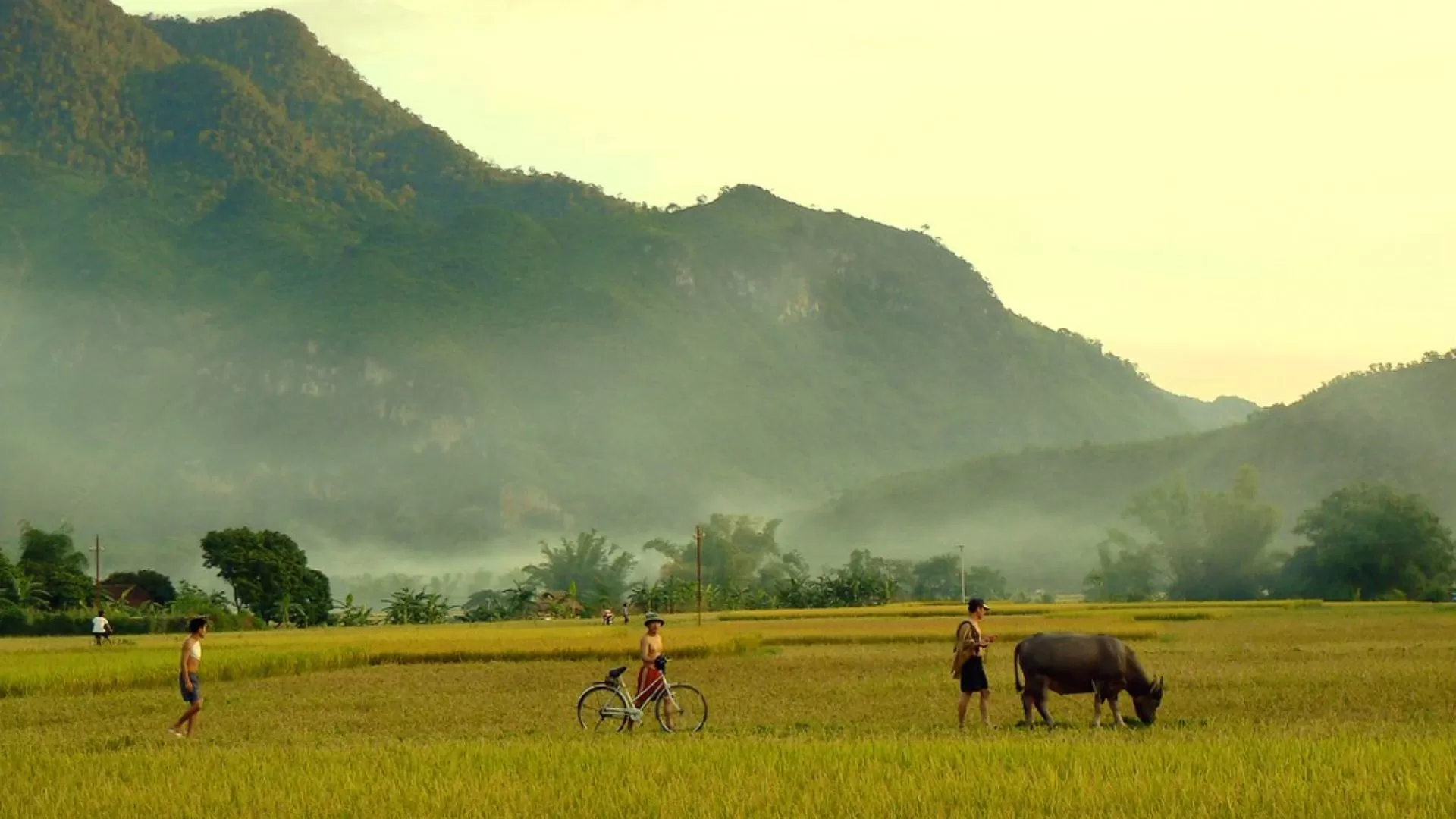 Explore Mai Chau in 1 day
