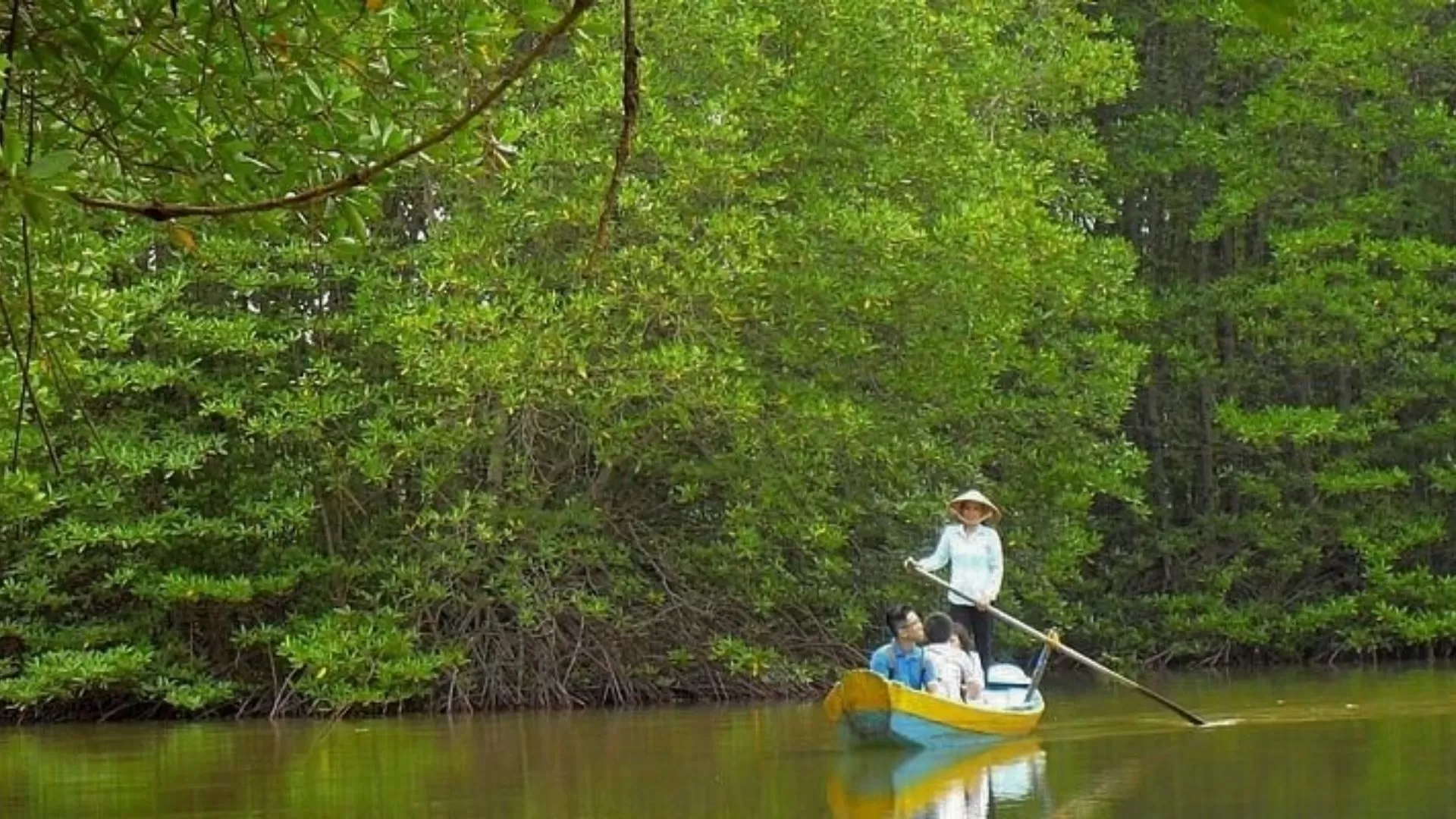 La Mangrove de Can Gio