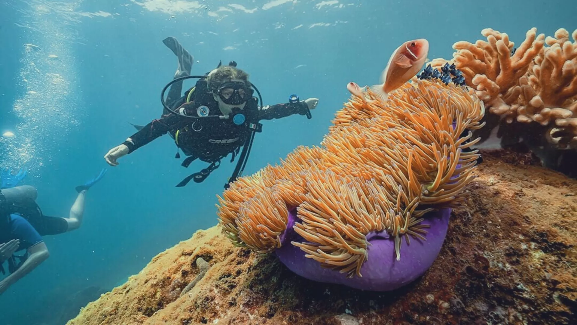 Snorkeling to see coral in Cham Island