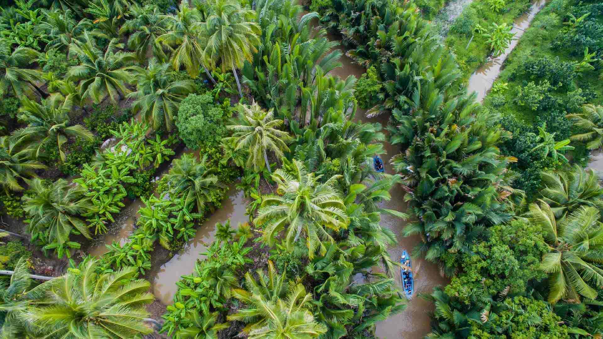 Ben Tre Coconut Gardens