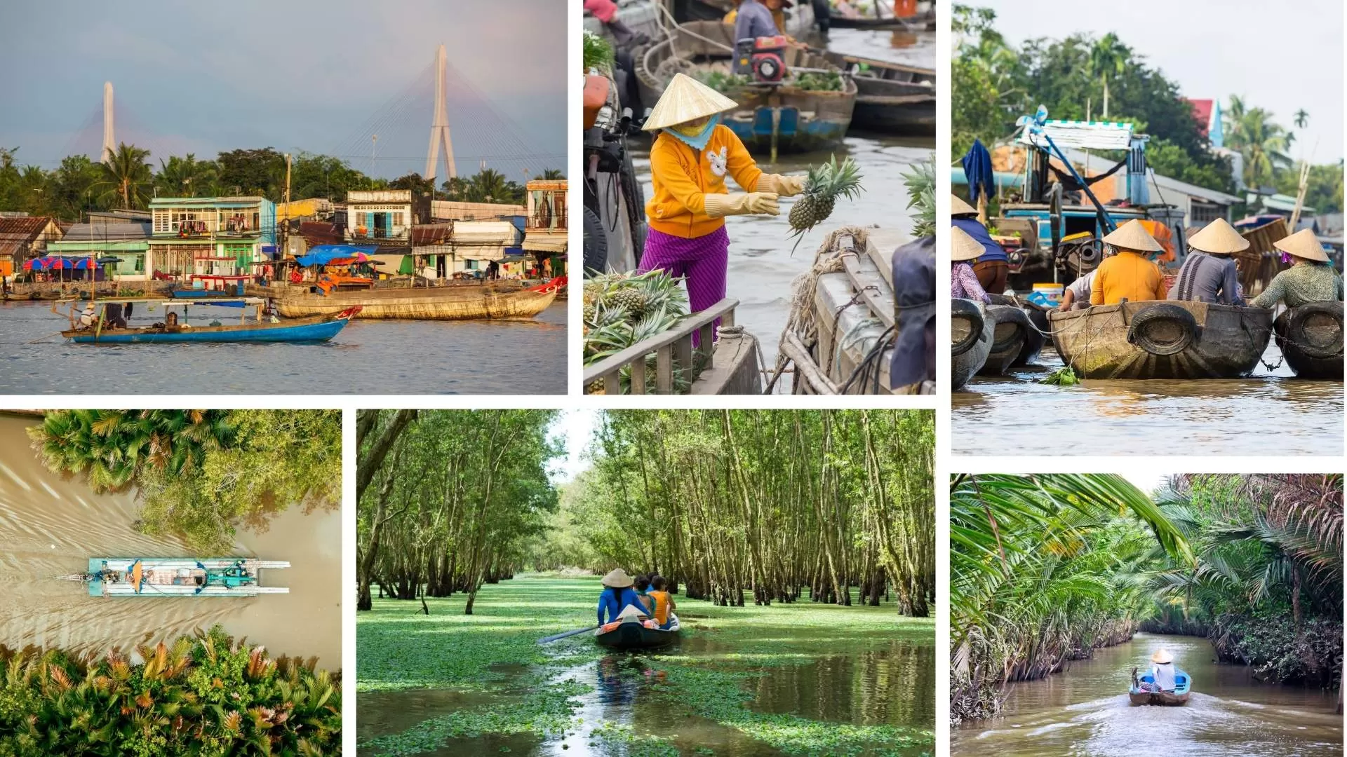 Mekong Delta in march awaits you
