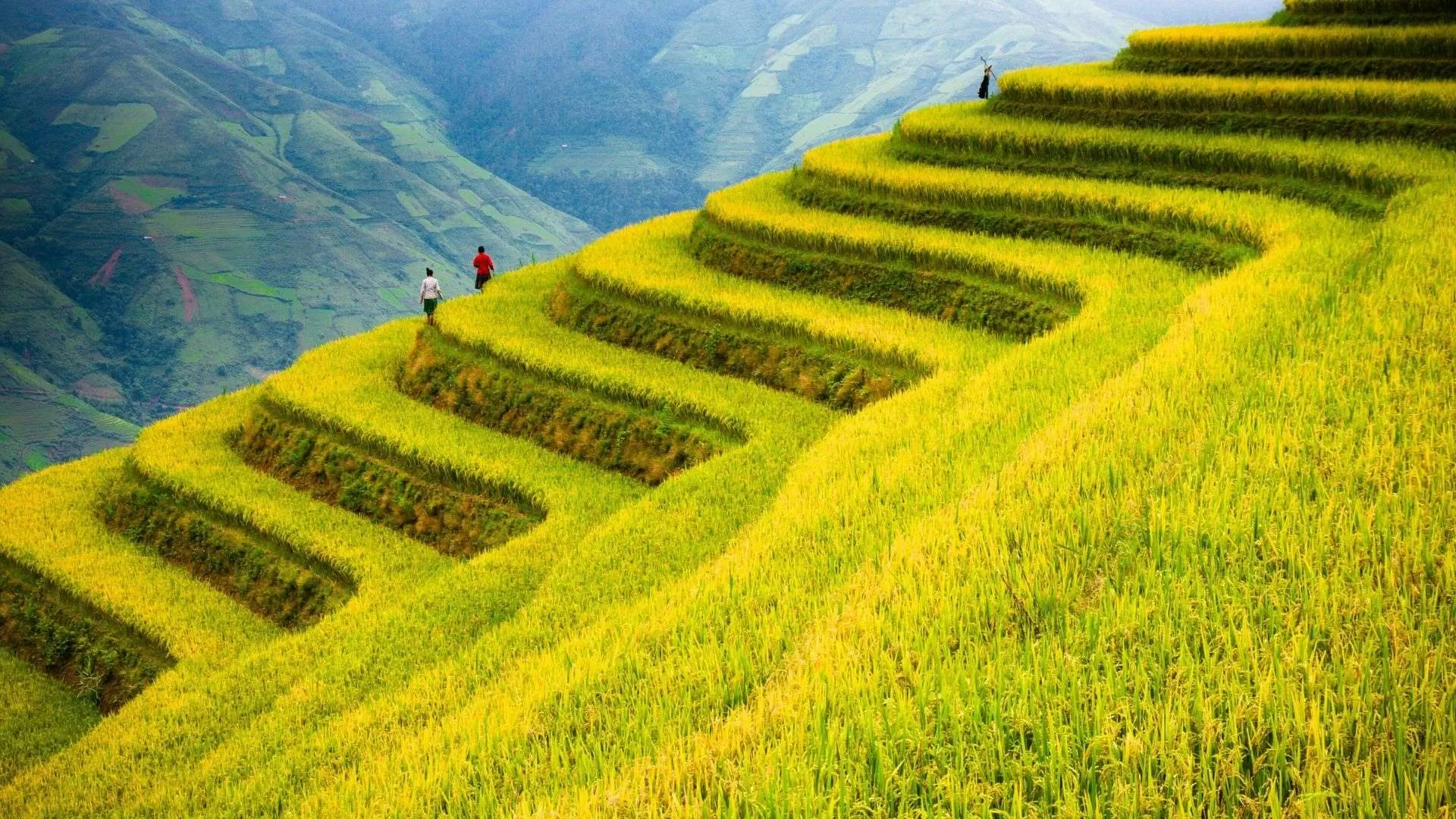 Mu Cang Chai