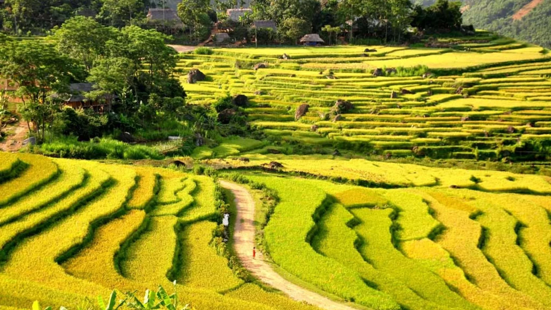 Don Village (Ban Don)