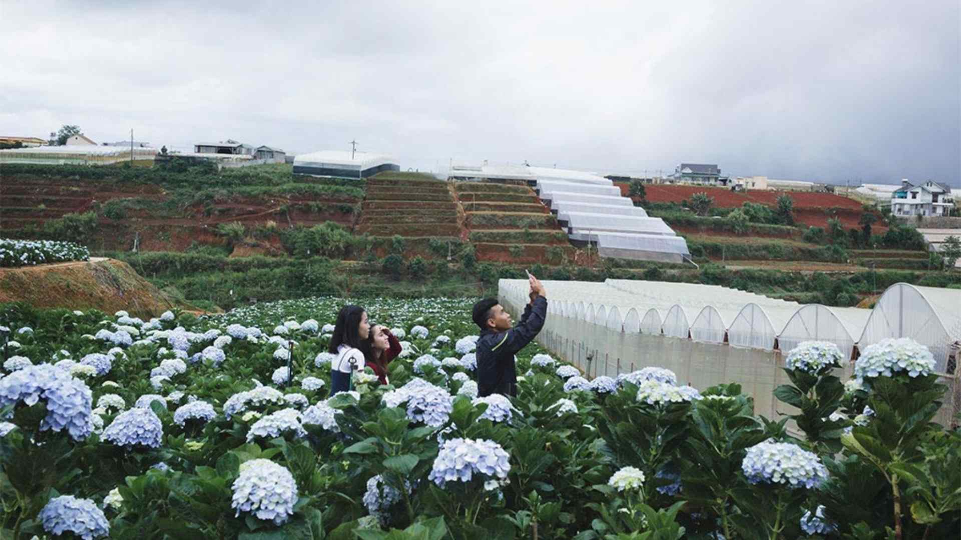 Da Lat – The city of eternal spring