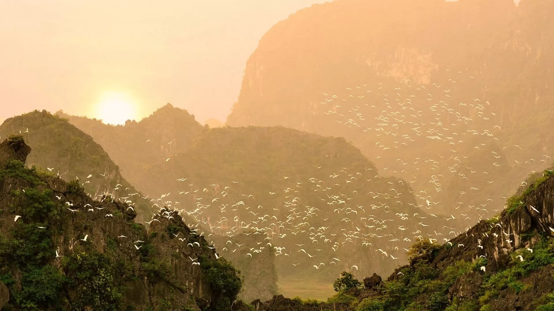 Thung Nham Bird Garden