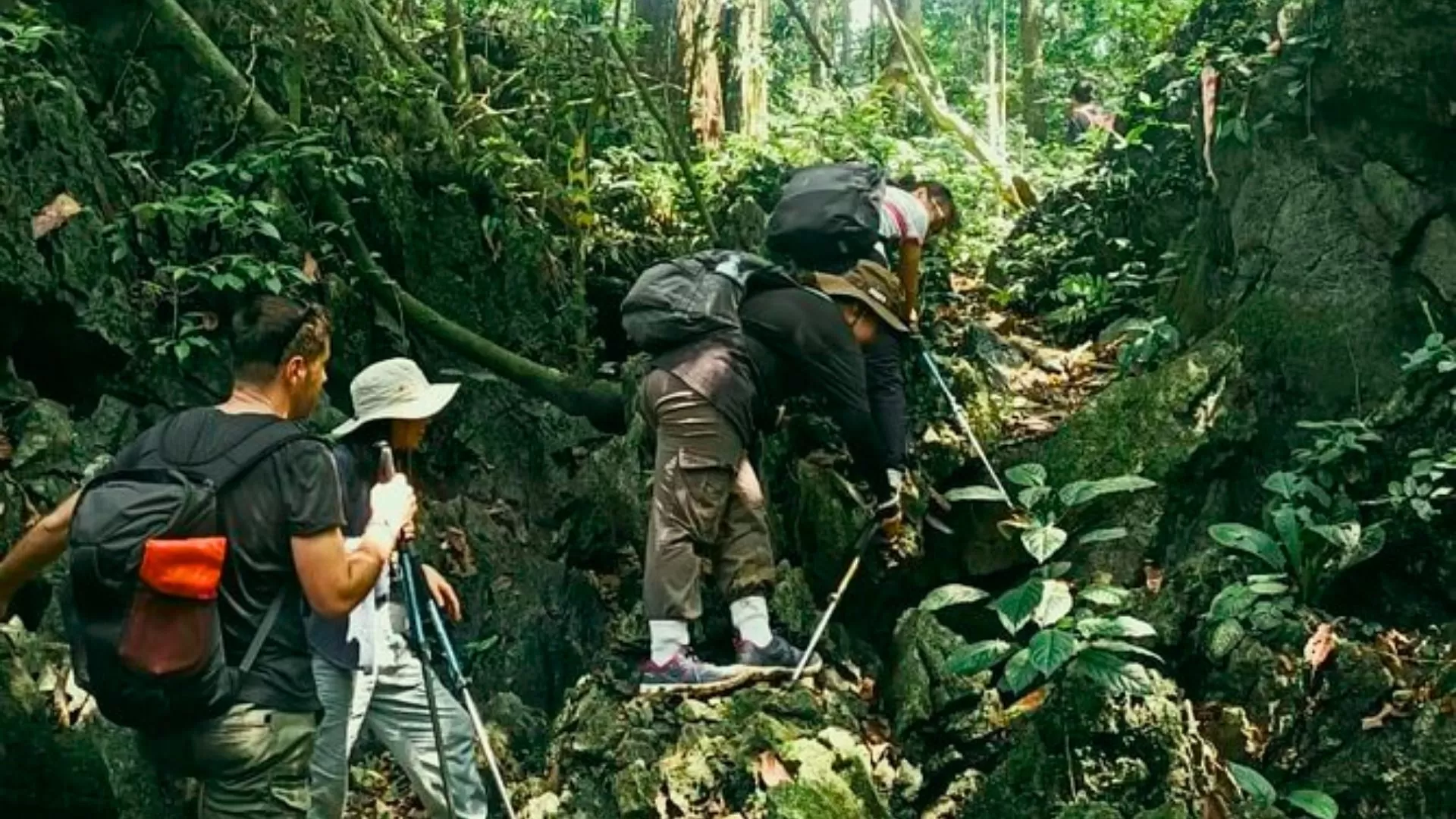 Randonnée dans le parc national de Cuc Phuong